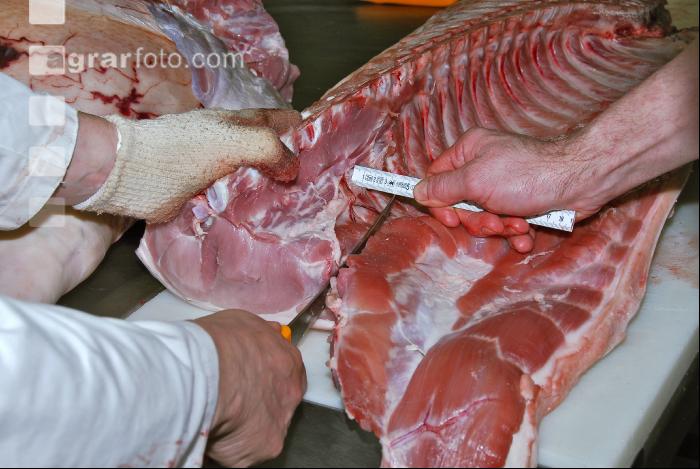 Bauch Karree trennen 1