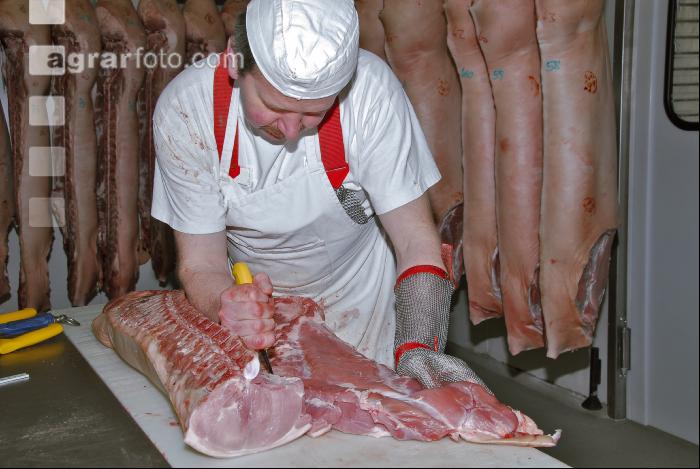 Bauch Karree trennen 1