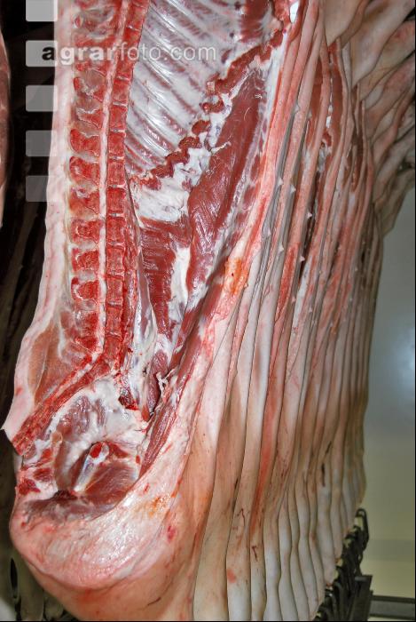 Kühlraum Schweine 6