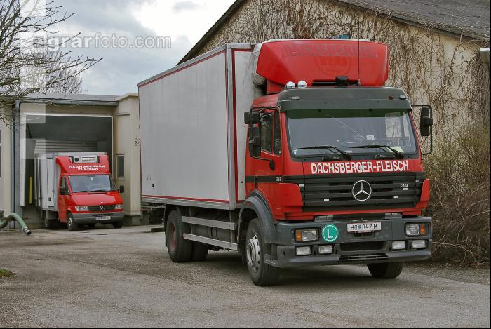 Tiertransporte 1