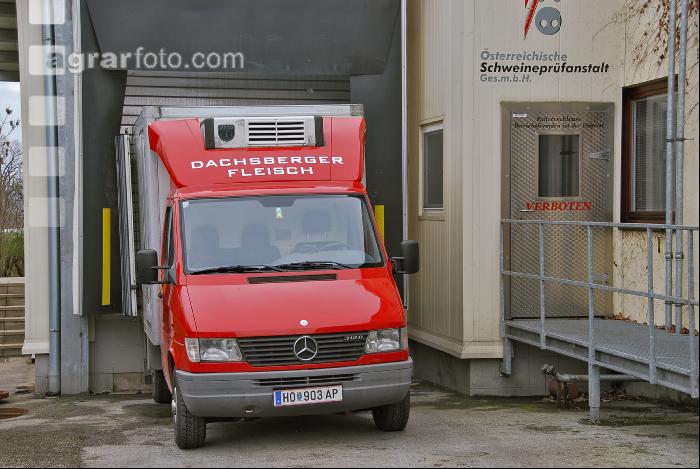 Tiertransporte 2