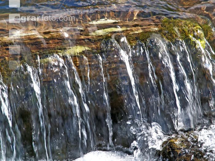 Wassergischt 1