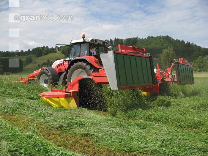 Grünfutter zetten 28