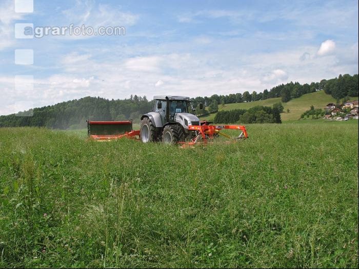 Feldfutter mähen 2