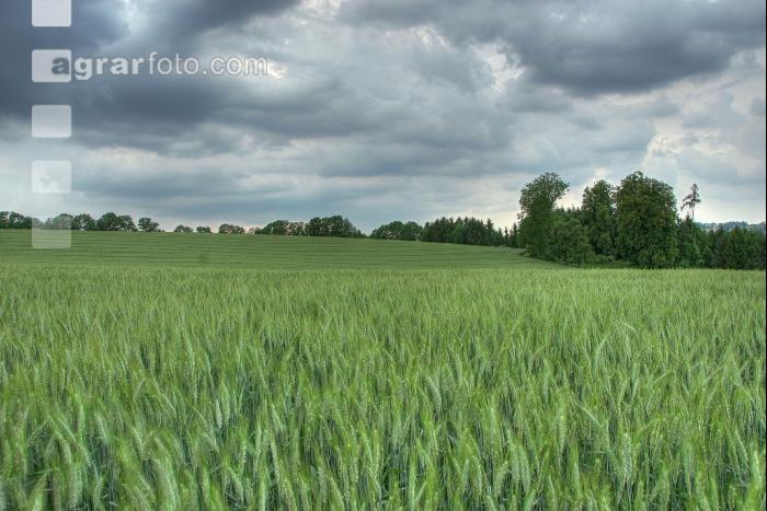 Gewitter kommt 2