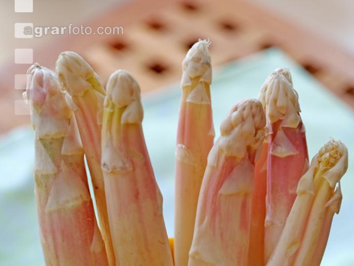 Spargel weiß 2