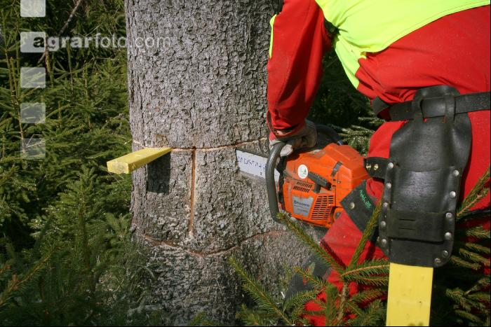 Fällhilfe 1