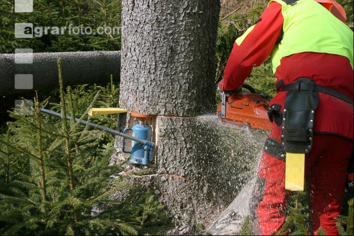 Fällhilfe 2