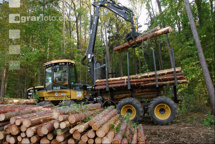 Forwarder Kiefer 2