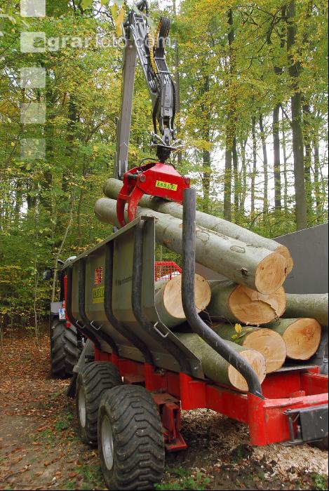Holz laden 12