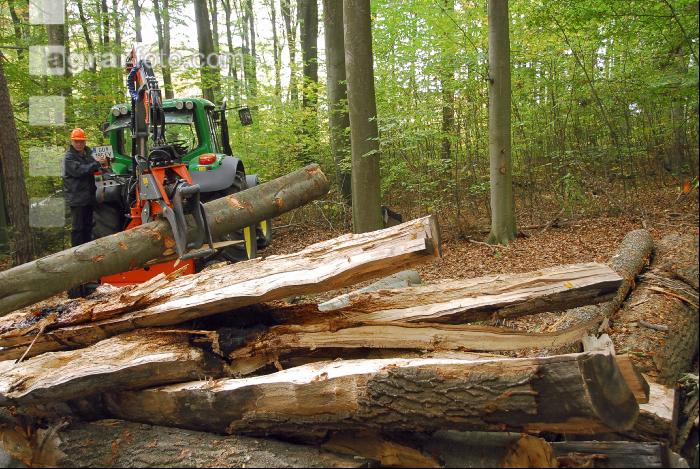 Holzspaltzange 1