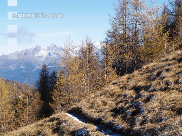 Dolomiten 4