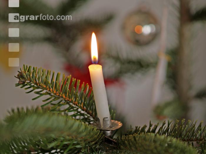 Christbaum 3