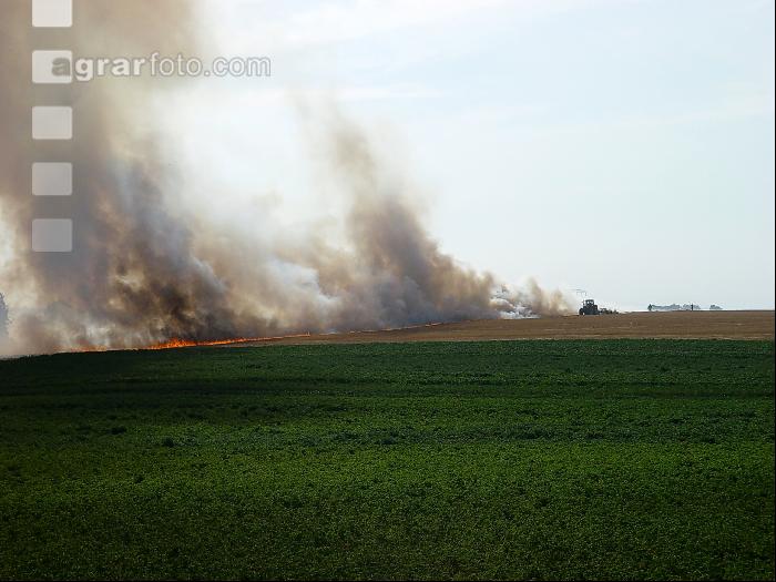 Flächenbrand J 
