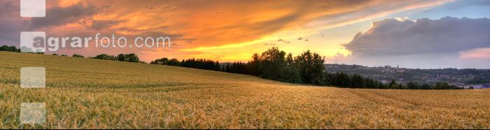 Abendrot 3