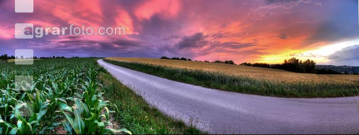 Abendrot 4