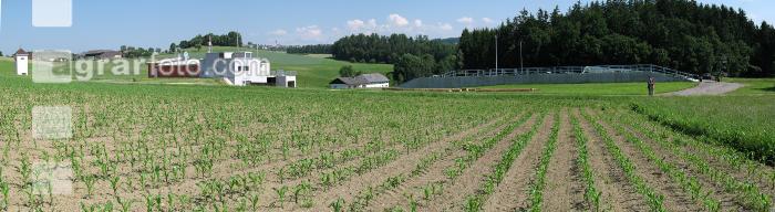 Biogas Panorama 1
