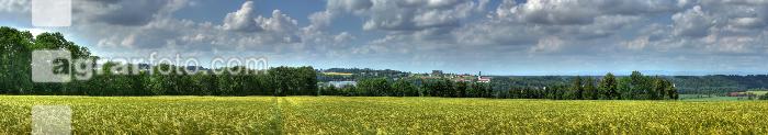 Gerste Panorama 7