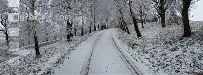 Gosenhub Winter 2