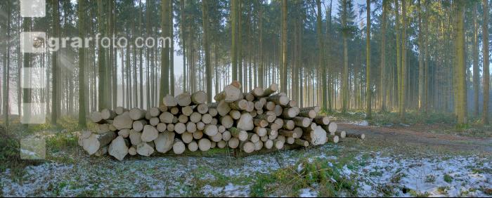 Holzstoss Panorama 1
