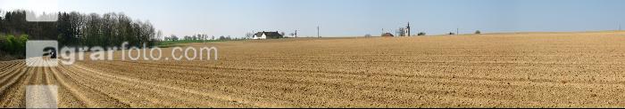 Kartoffel Panorama 5
