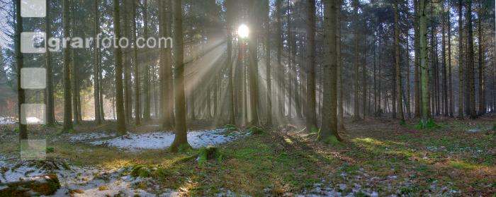 Lichtstrahlen 2