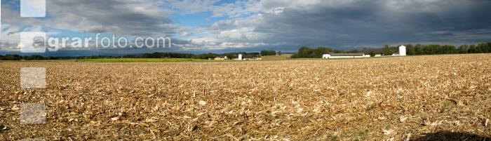 Mais Panorama 7