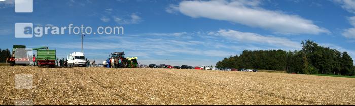 Mais Panorama 6