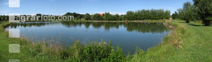 Teich 