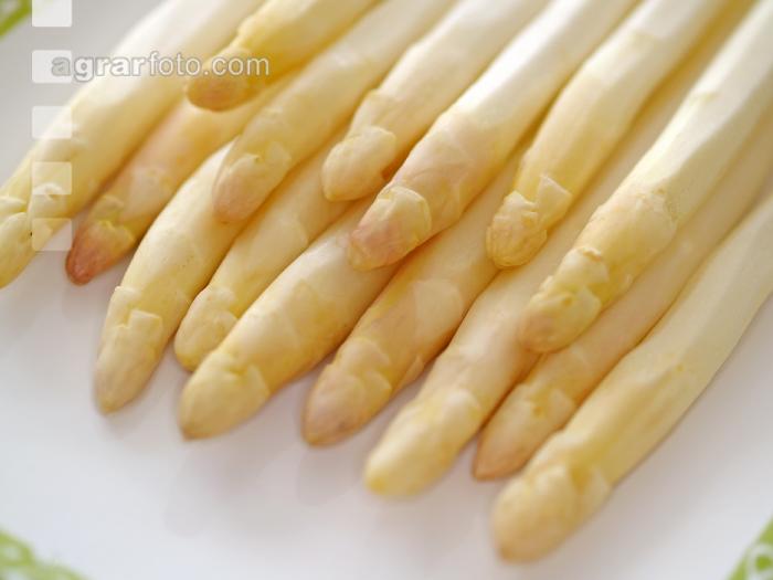 Spargel weiß 4