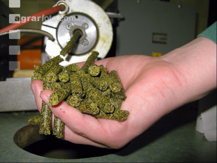 Raps Pellets 2