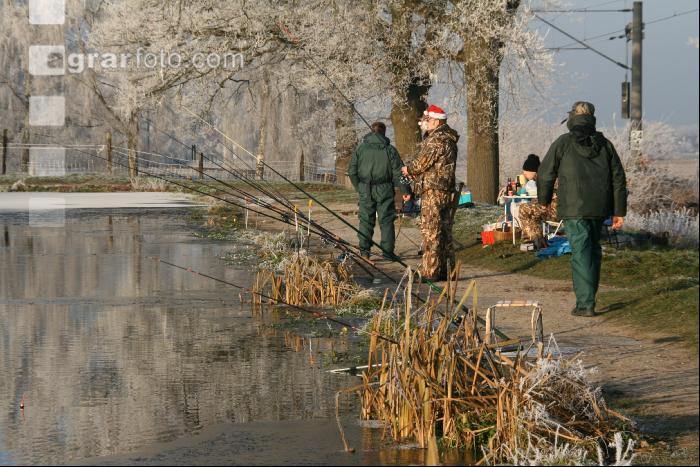 Angler Frost J 1