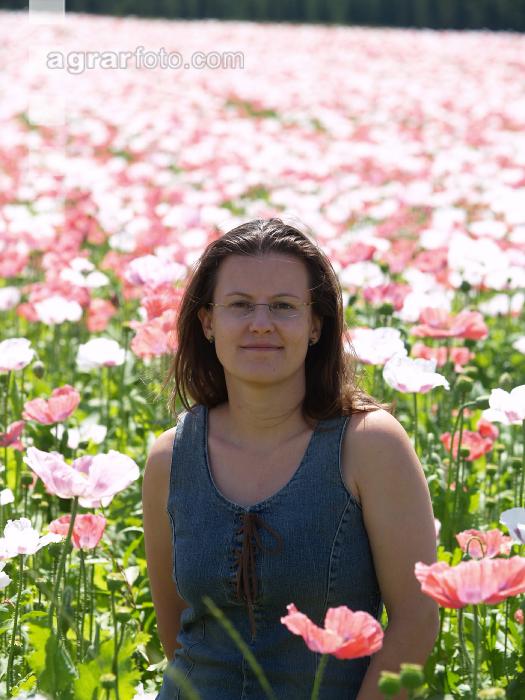 Waldviertel Graumohn 36