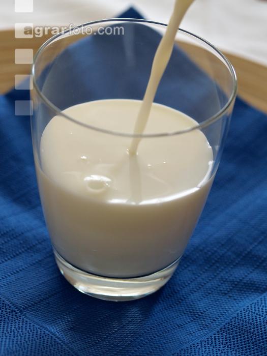 Milch 4