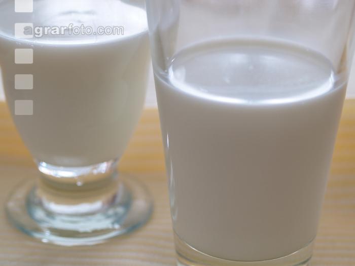 Milch 6