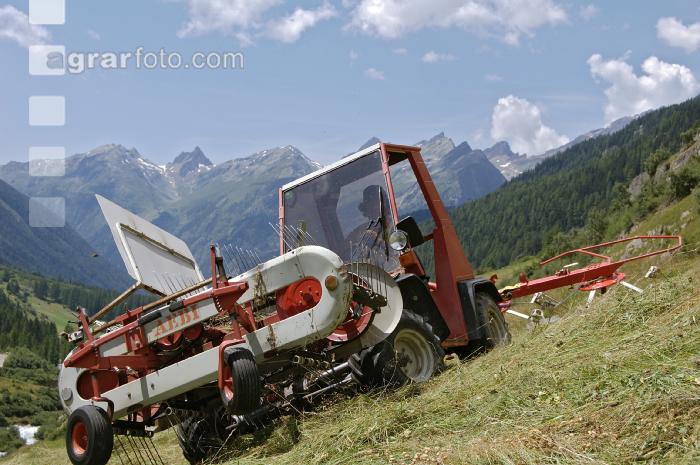 Alm Heuarbeit 10