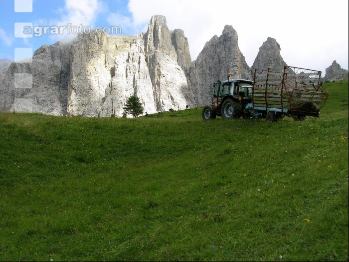 Bergbauern Südtirol 9