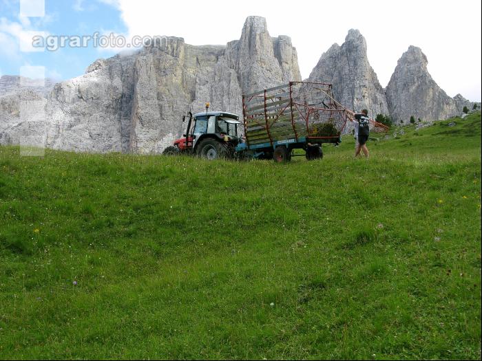 Bergbauern Südtirol 10