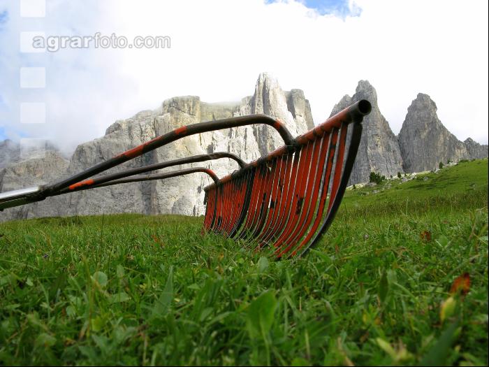 Bergbauern Südtirol 12