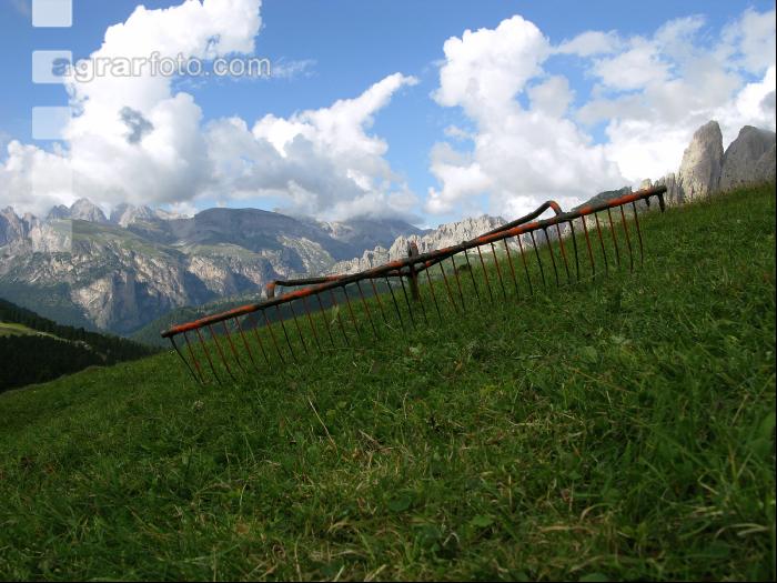 Bergbauern Südtirol 13