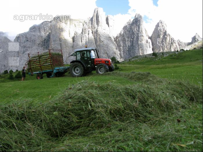 Bergbauern Südtirol 14