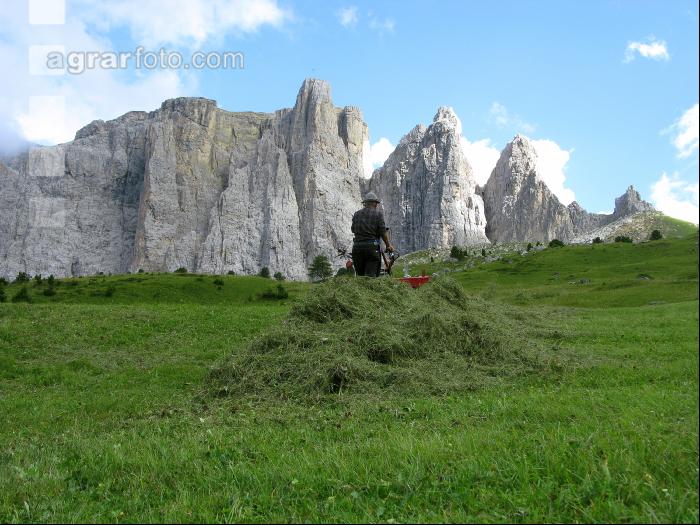Bergbauern Südtirol 4