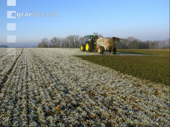 Gerste Gülle Frost 6