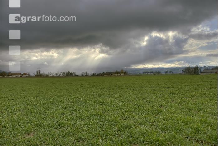 Gewitterwolken 10