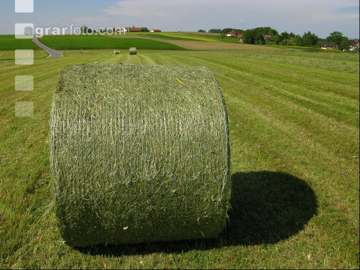 Heurundballen 3