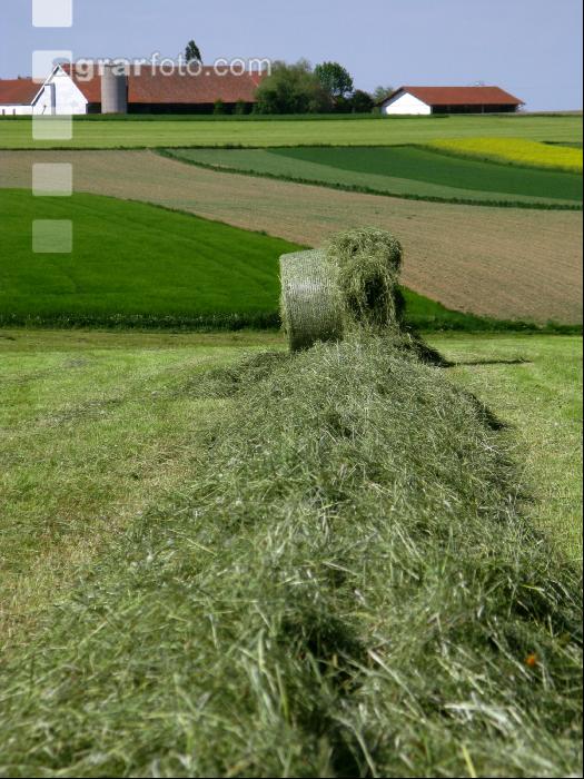Heurundballen 7
