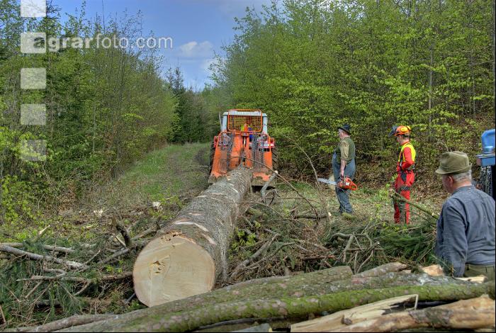 Holzbringung 18