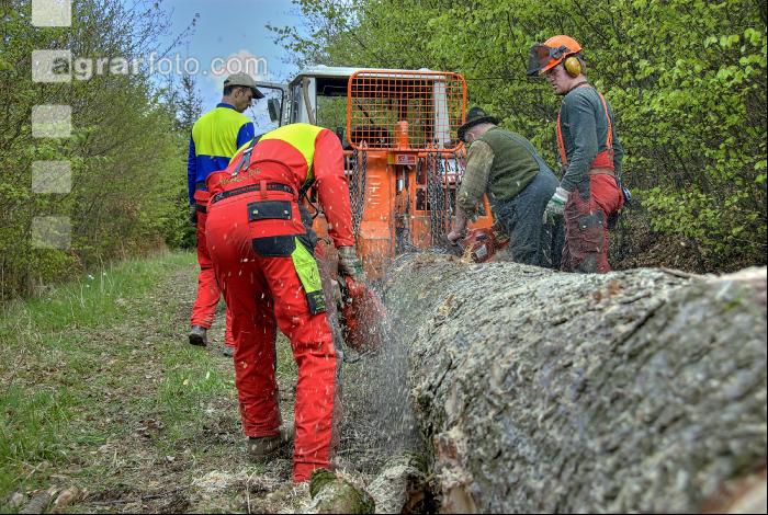 Holzbringung 16