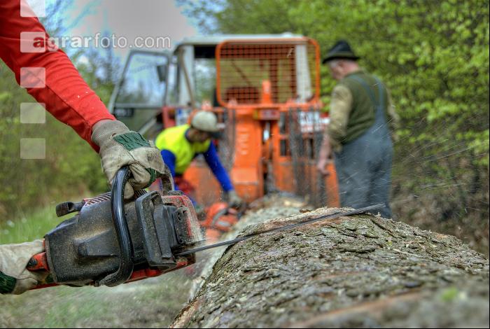Holzbringung 15