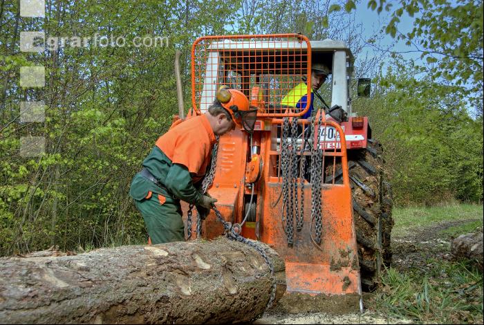 Holzbringung 14